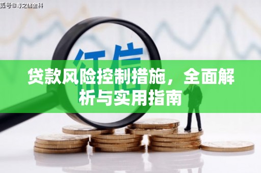 鸡泽贷款风险控制措施，全面解析与实用指南