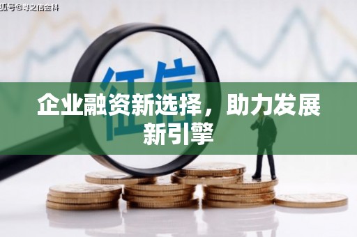 鸡泽企业融资新选择，助力发展新引擎
