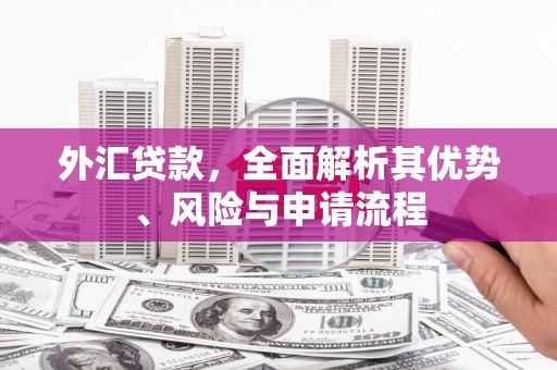 鸡泽外汇贷款，全面解析其优势、风险与申请流程