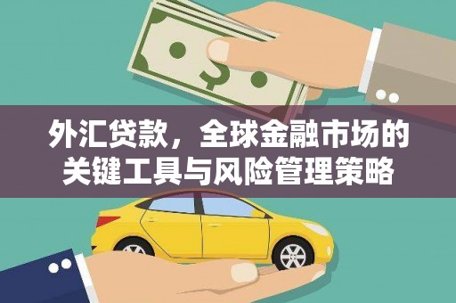鸡泽外汇贷款，全球金融市场的关键工具与风险管理策略