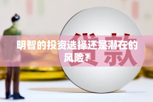 鸡泽明智的投资选择还是潜在的风险？