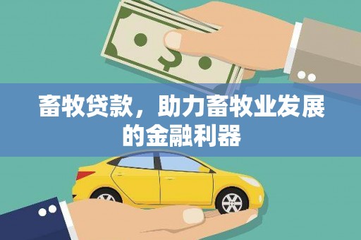 鸡泽畜牧贷款，助力畜牧业发展的金融利器