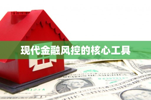 鸡泽现代金融风控的核心工具