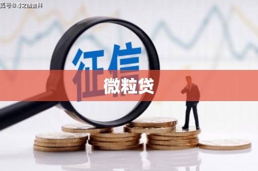鸡泽微粒贷