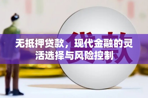 鸡泽无抵押贷款，现代金融的灵活选择与风险控制