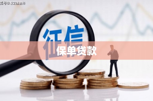 鸡泽保单贷款