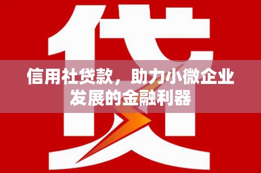 鸡泽信用社贷款，助力小微企业发展的金融利器