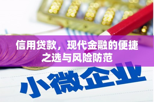 鸡泽信用贷款，现代金融的便捷之选与风险防范