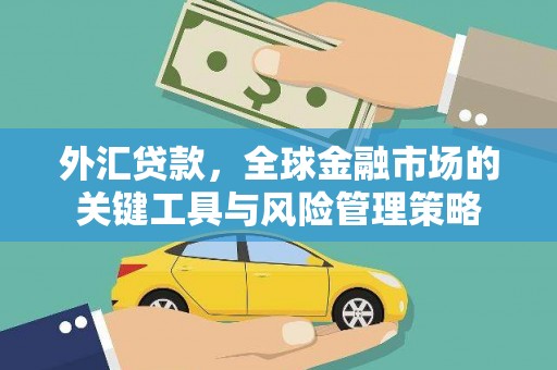 鸡泽外汇贷款，全球金融市场的关键工具与风险管理策略