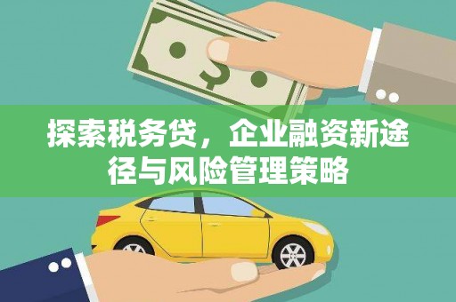 鸡泽探索税务贷，企业融资新途径与风险管理策略
