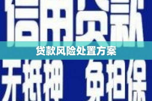鸡泽贷款风险处置方案