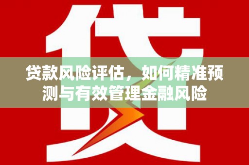 鸡泽贷款风险评估，如何精准预测与有效管理金融风险