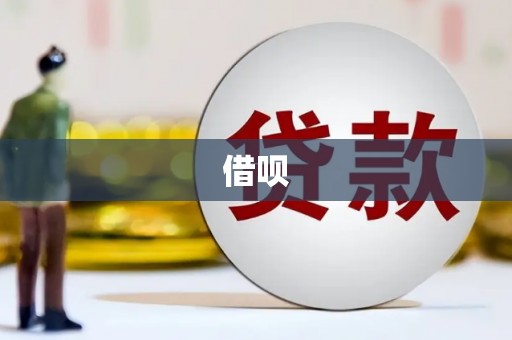 鸡泽借呗