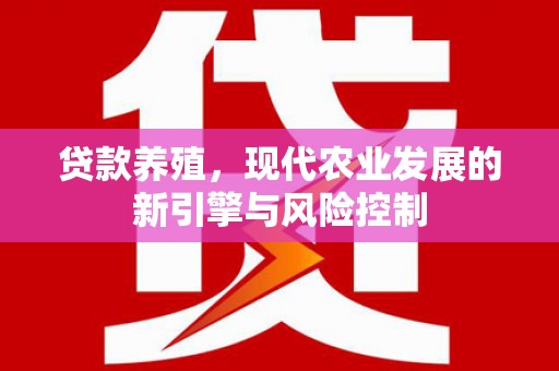 鸡泽贷款养殖，现代农业发展的新引擎与风险控制