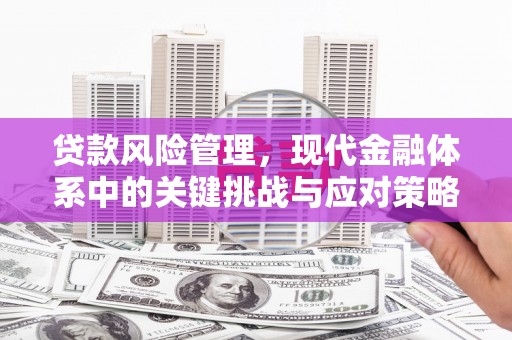 鸡泽贷款风险管理，现代金融体系中的关键挑战与应对策略
