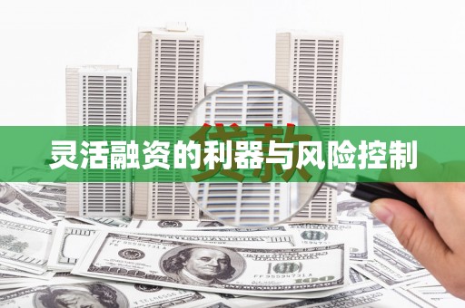 鸡泽灵活融资的利器与风险控制