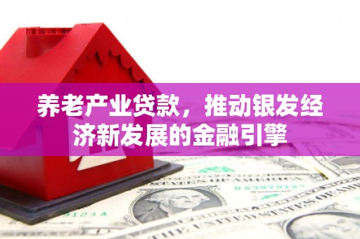 鸡泽养老产业贷款，推动银发经济新发展的金融引擎