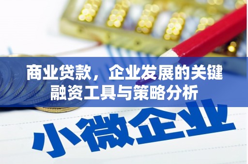 鸡泽商业贷款，企业发展的关键融资工具与策略分析