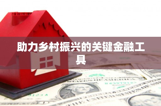 鸡泽助力乡村振兴的关键金融工具