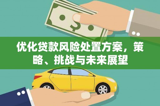 鸡泽优化贷款风险处置方案，策略、挑战与未来展望