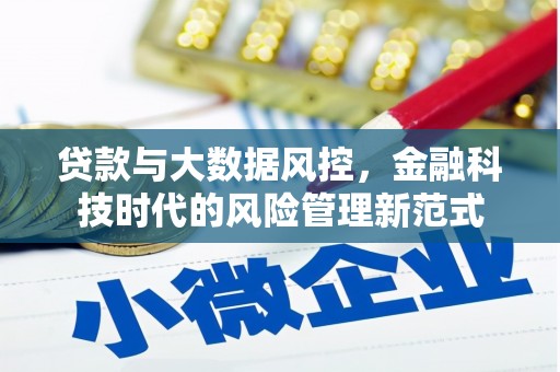 鸡泽贷款与大数据风控，金融科技时代的风险管理新范式