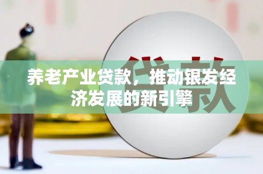 鸡泽养老产业贷款，推动银发经济发展的新引擎