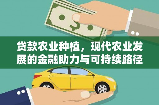 鸡泽贷款农业种植，现代农业发展的金融助力与可持续路径