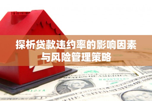 鸡泽探析贷款违约率的影响因素与风险管理策略