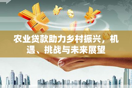 鸡泽农业贷款助力乡村振兴，机遇、挑战与未来展望