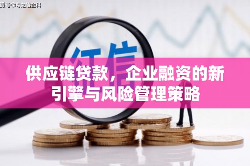 鸡泽供应链贷款，企业融资的新引擎与风险管理策略
