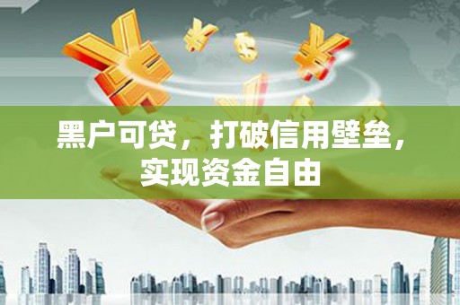 鸡泽黑户可贷，打破信用壁垒，实现资金自由