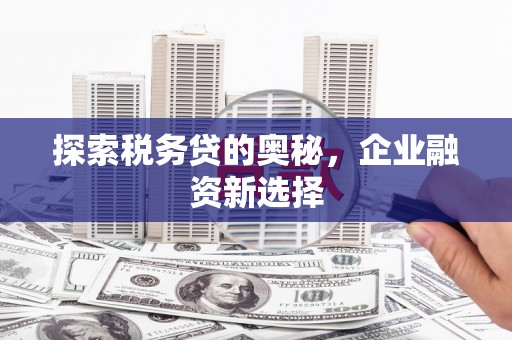鸡泽探索税务贷的奥秘，企业融资新选择