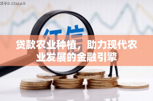 鸡泽贷款农业种植，助力现代农业发展的金融引擎
