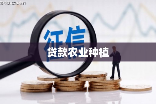鸡泽贷款农业种植