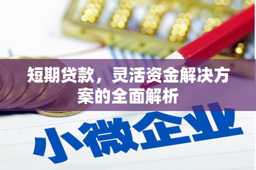 鸡泽短期贷款，灵活资金解决方案的全面解析