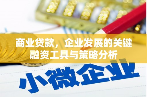 鸡泽商业贷款，企业发展的关键融资工具与策略分析