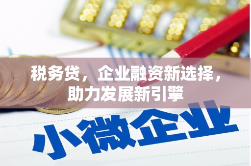 鸡泽税务贷，企业融资新选择，助力发展新引擎