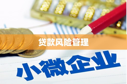鸡泽贷款风险管理