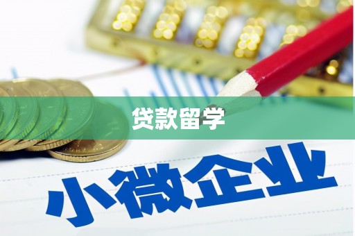 鸡泽贷款留学