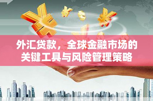 鸡泽外汇贷款，全球金融市场的关键工具与风险管理策略