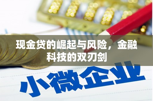 鸡泽现金贷的崛起与风险，金融科技的双刃剑