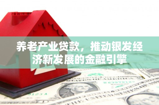 鸡泽养老产业贷款，推动银发经济新发展的金融引擎