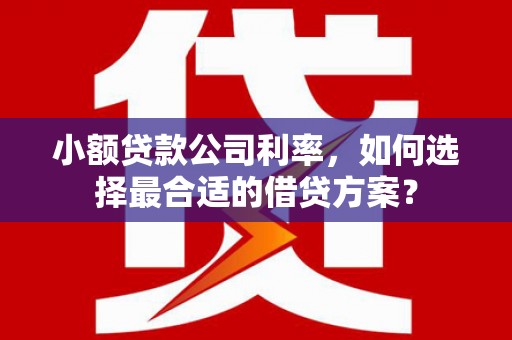 鸡泽小额贷款公司利率，如何选择最合适的借贷方案？