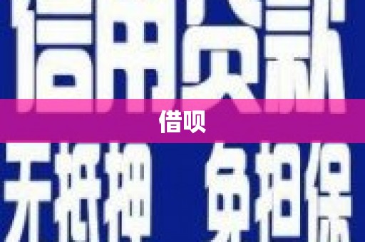 鸡泽借呗