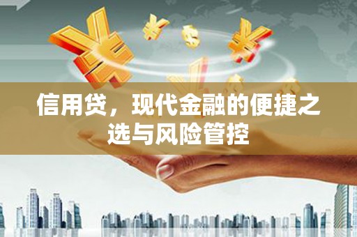 鸡泽信用贷，现代金融的便捷之选与风险管控