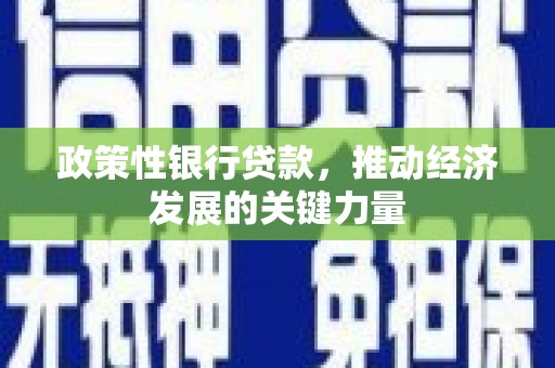 鸡泽政策性银行贷款，推动经济发展的关键力量
