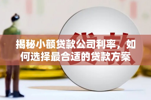 鸡泽揭秘小额贷款公司利率，如何选择最合适的贷款方案