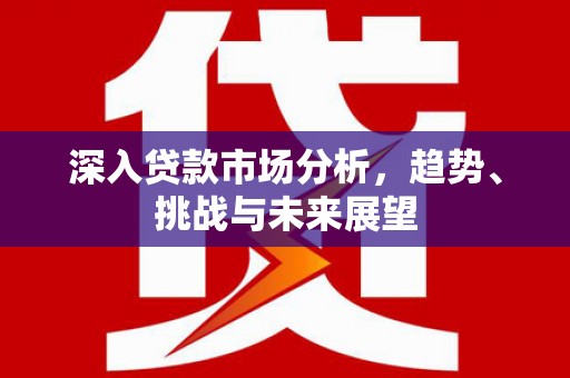 鸡泽深入贷款市场分析，趋势、挑战与未来展望