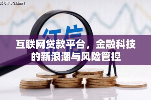 鸡泽互联网贷款平台，金融科技的新浪潮与风险管控