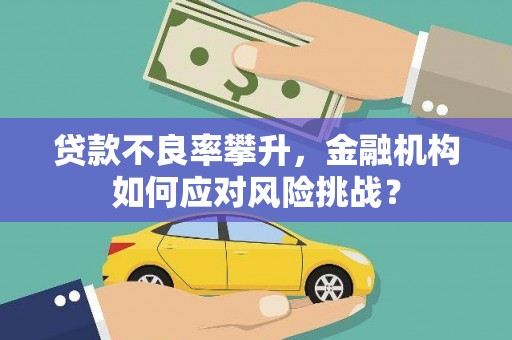 鸡泽贷款不良率攀升，金融机构如何应对风险挑战？